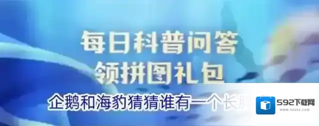 企鹅和海豹猜猜谁有一个长脖子