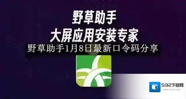 野草助手影视