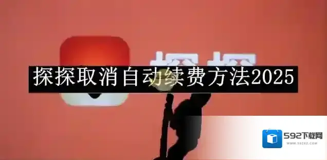 探探自动续费