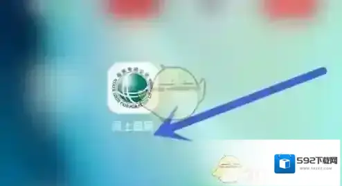 网上国网点击