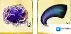 FateGo一览