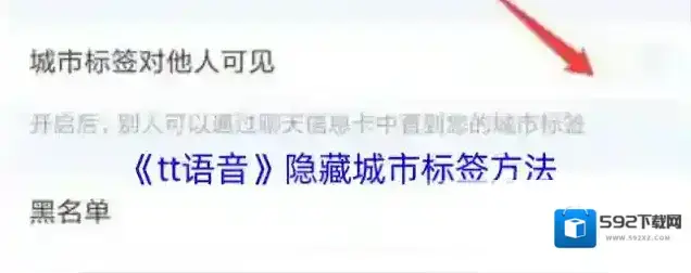 tt语音城市