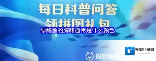 绿鳍鱼的胸鳍通常是什么颜色