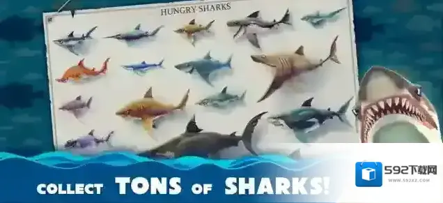 饥饿鲨世界国际服鲨鱼