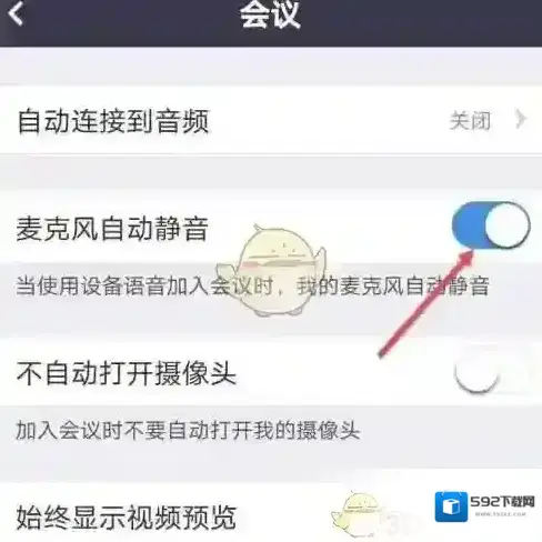 boom视频会议会议