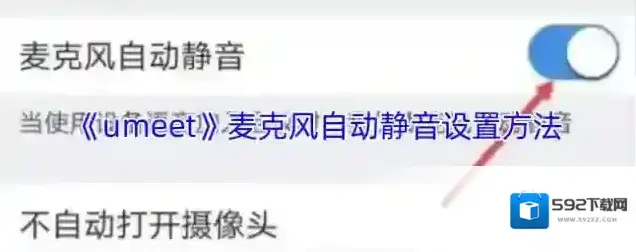 boom视频会议静音