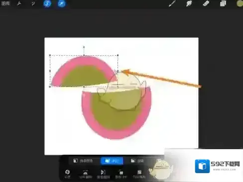 procreate框选