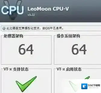 选项虚拟化