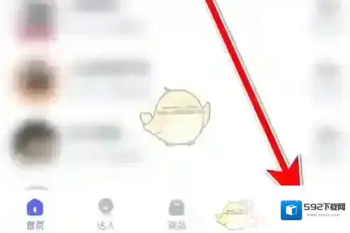 灰豚数据照片