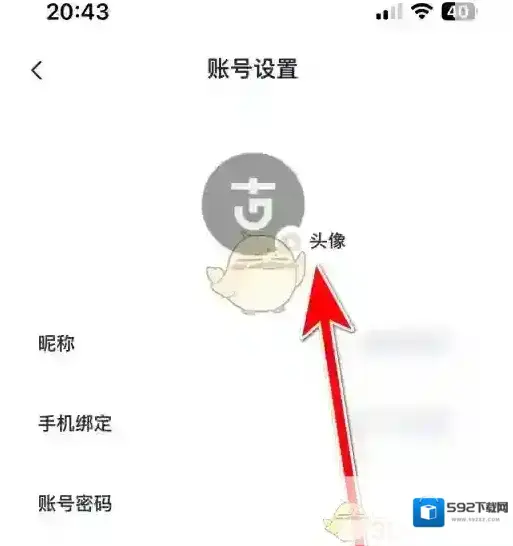 灰豚数据设置