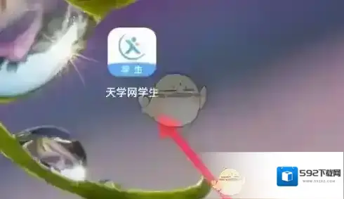 天学网声纹