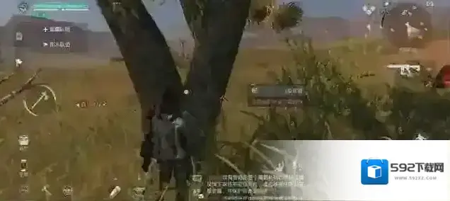 黎明觉醒松树脂在哪里 松树脂位置一览