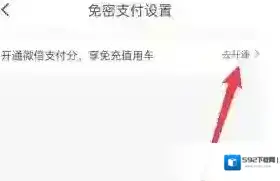 松果出行开通