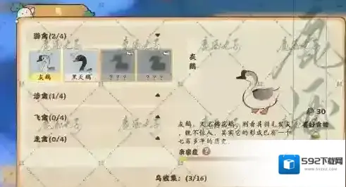 桃源深处有人家鸟类