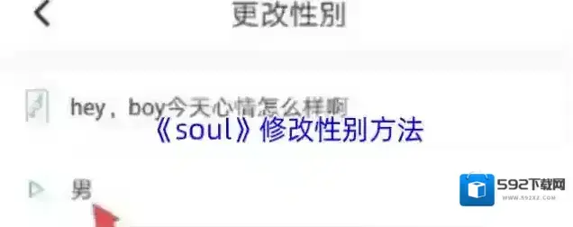 Soul性别