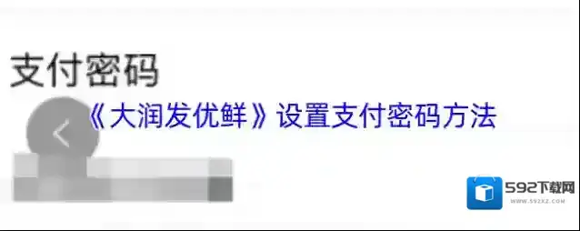 大润发优鲜支付密码
