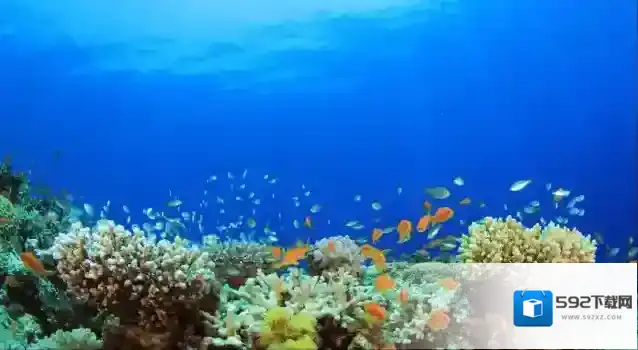地铁跑酷水母