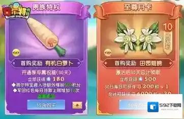 赛尔特大陆特权