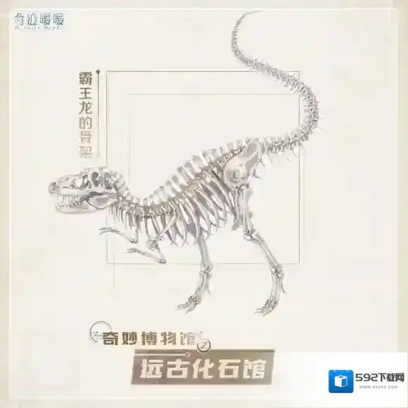 奇迹暖暖奇妙博物馆都有哪些问题 奇妙博物馆答案大全