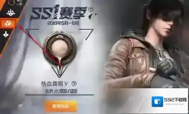 和平精英查看
