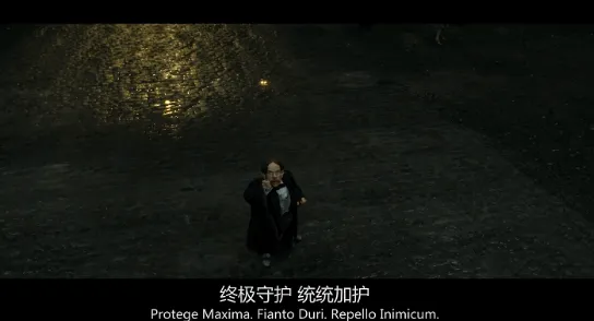 哈利波特魔法觉醒盗贼