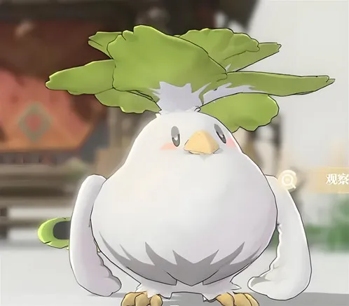 蓝色星原旅谣奇波具体分布图