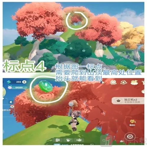 米姆米姆哈枫树