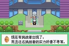 口袋妖怪漆黑的魅影现实世界