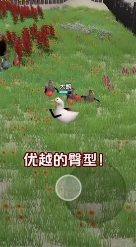 长手的鸭子下载