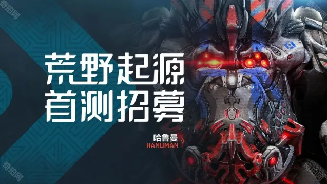 荒野起源填写