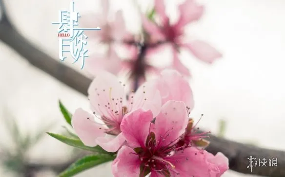 梗百科生活