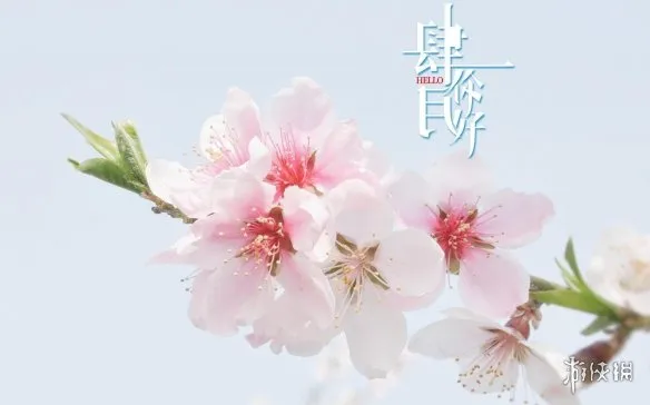梗百科再见