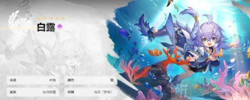 崩坏星穹铁道初始角色选择全攻略