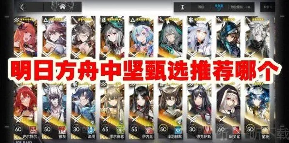 明日方舟中坚