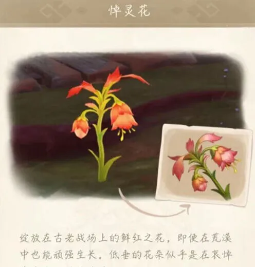 《原神》悼灵花刷新时间详细介绍
