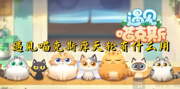 《遇见》：摩天轮的用处指南