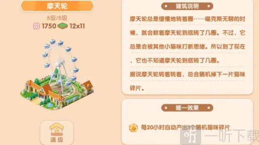 遇见猫咪
