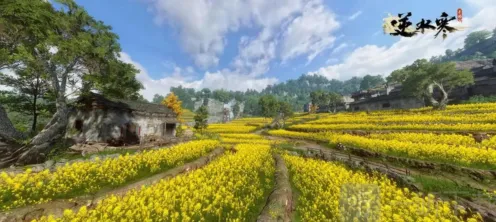 《逆水寒》采药隐藏身份全教程