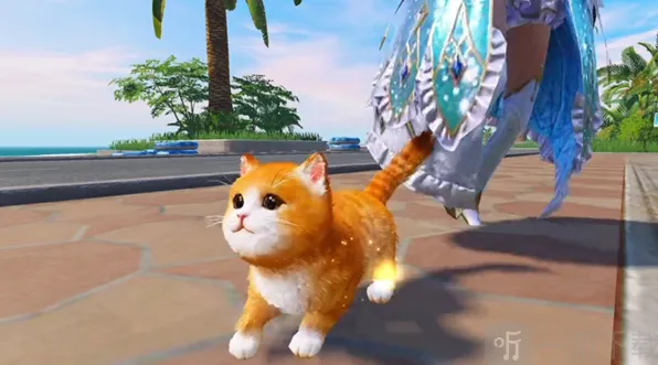 和平精英修改猫咪名字完整教程
