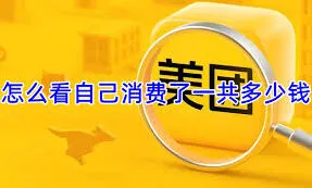 《美团》如何查看美团消费总额技巧分享