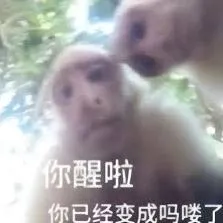 《支付宝》开证明密码错误的原因是什么技巧分享