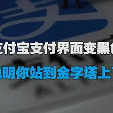 《支付宝》页面变成黑色使用技巧