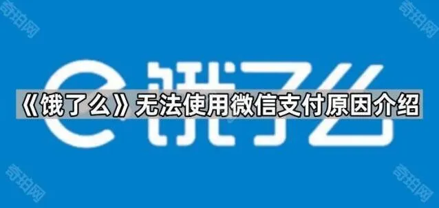 饿了么无法使用微信支付原因全指南