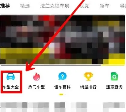 懂车帝车主