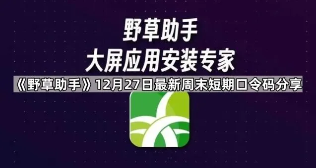 《夸克》12月27日最新周末短期口令码分享步骤