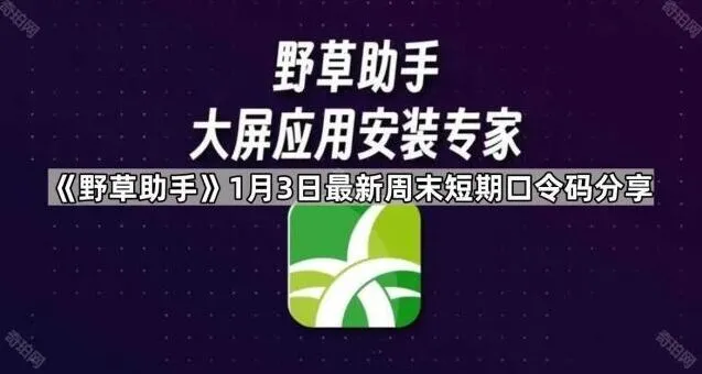 《夸克》桌面直达功能设置教程