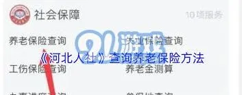 《微信》查询养老金操作指南