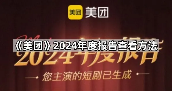 美团年度报告