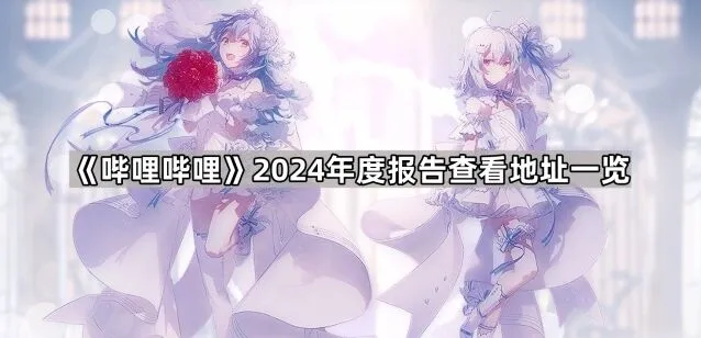 《哔哩哔哩》2024年度报告查看地址指南