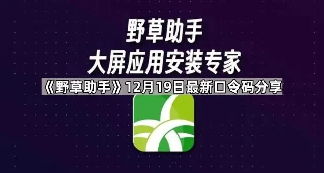夸克12月23日最新口令码分享完整教程